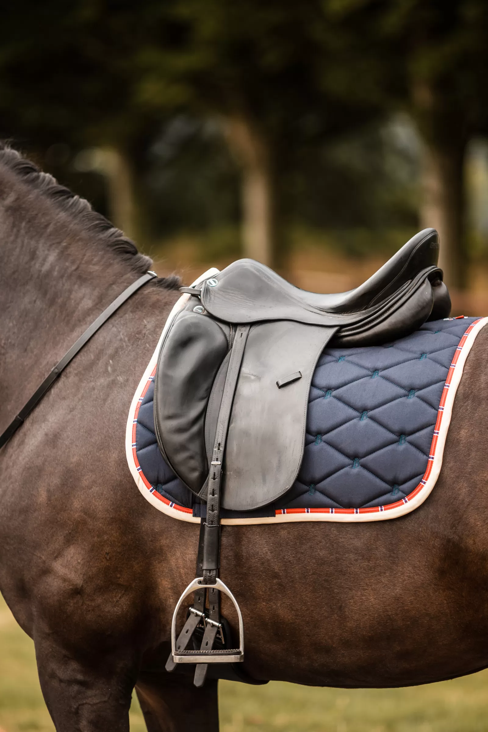 bvertigo Dressursjabraker | B Vertigo Amory Sottosella Da Dressage Con Monogramma Ricamato Dark Navy