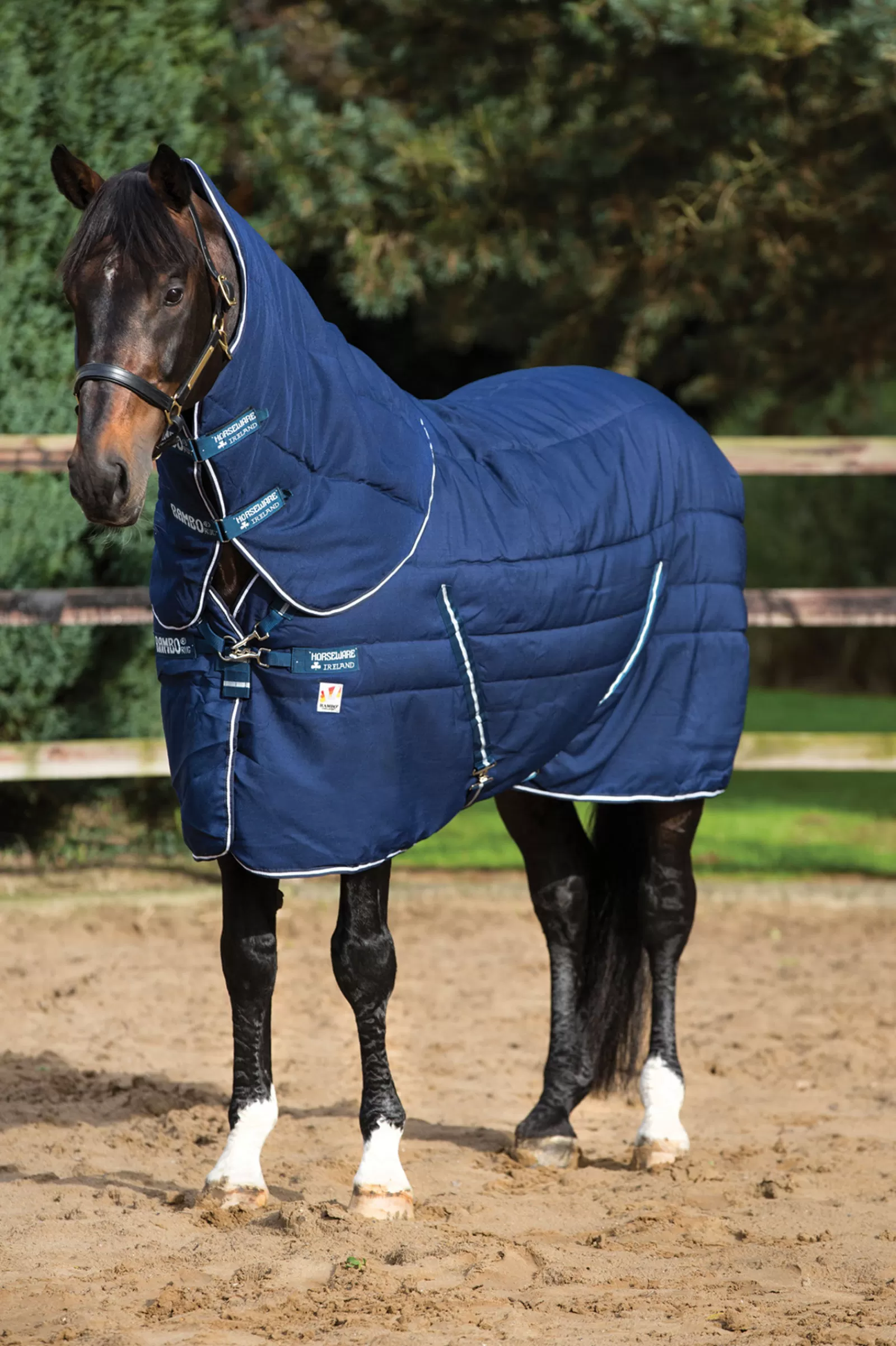 Coperta Da Stalla Multistrato Rambo Plus Con Collo Staccabile, 450 G>horseware Hot