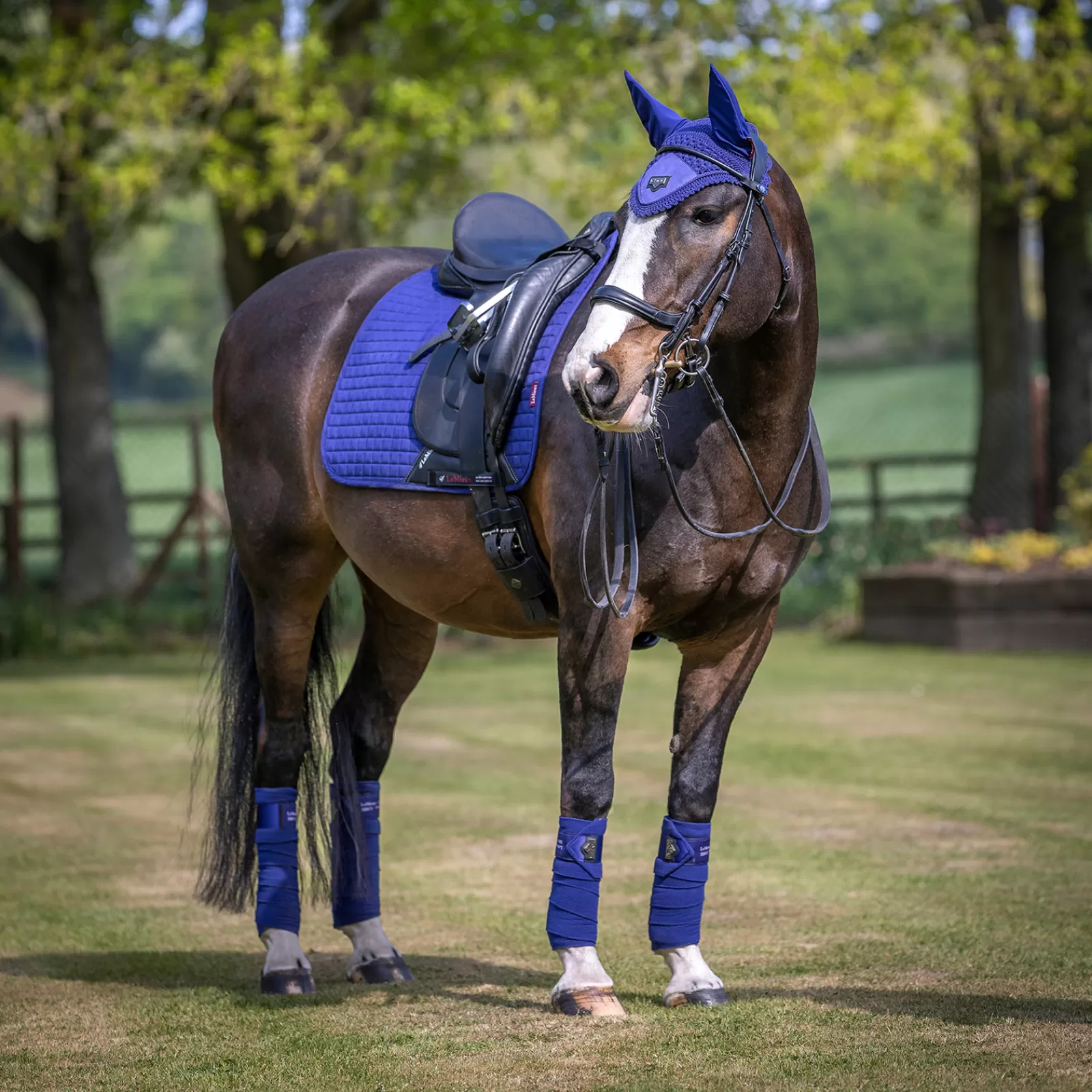 lemieux Dressursjabraker | Cuscinetto Da Dressage Di Lusso Stagionale In Pelle Scamosciata Ink Blue