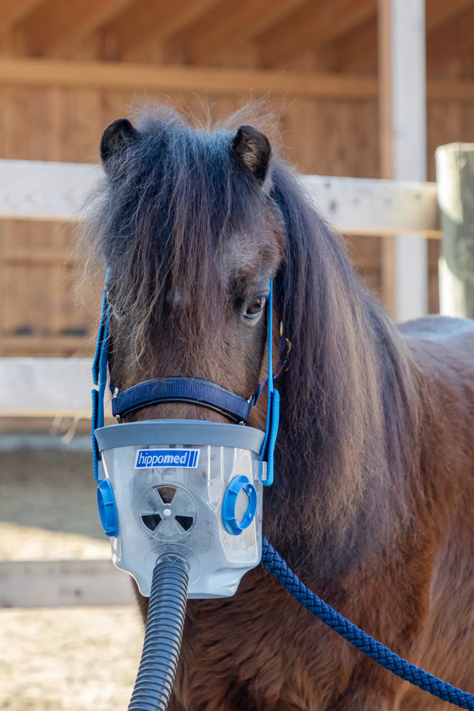 Maschera Per Inalazione Incl. Accessori Per Airone, Shetland/Foal>hippomed Cheap