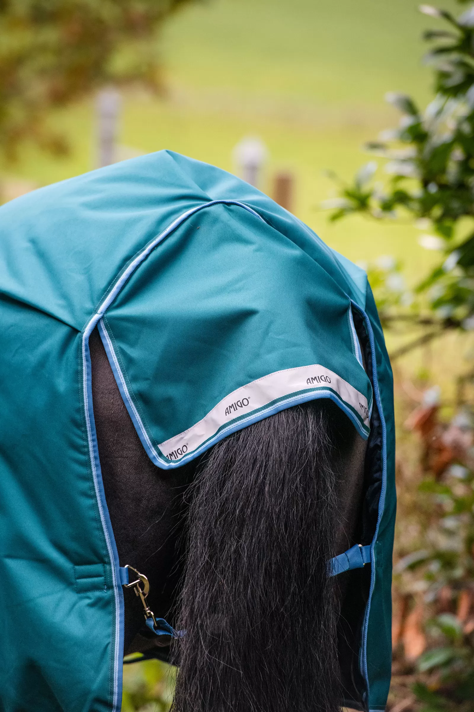 Amigo Bravo 12 Coperta Da Turnout Con Collo Alto>horseware Discount