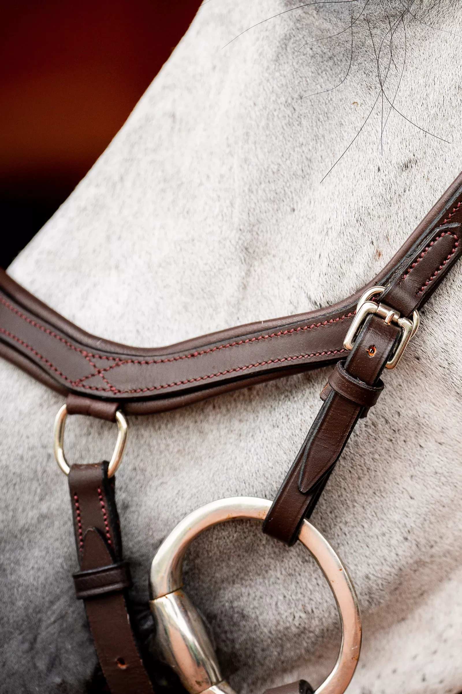 horseware Briglie E Chiudibocca | Rambo Micklem 2 Briglia Da Concorso Dark Brown