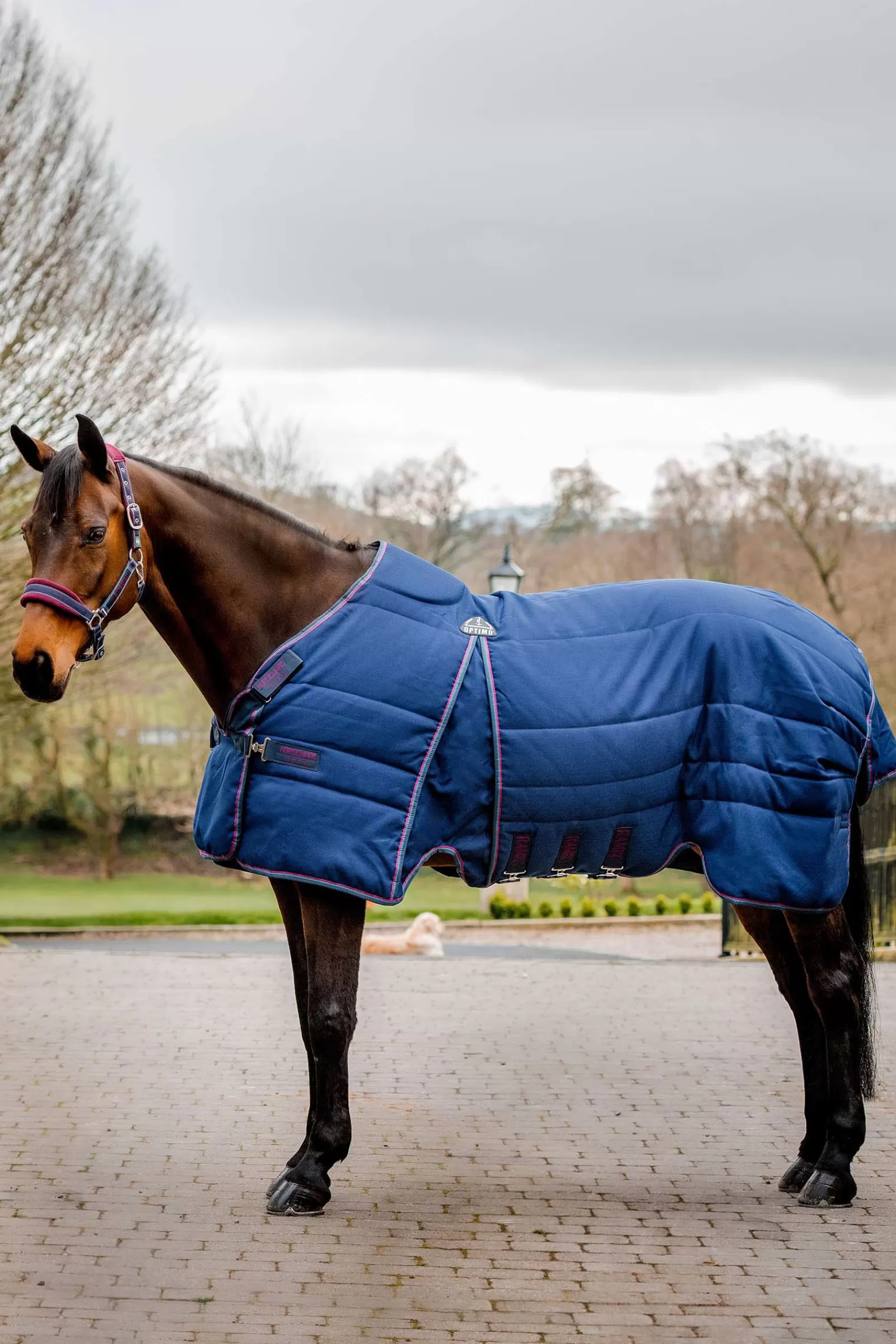 Rambo Optimo Coperta Per Stalla 200 Gr>horseware Clearance