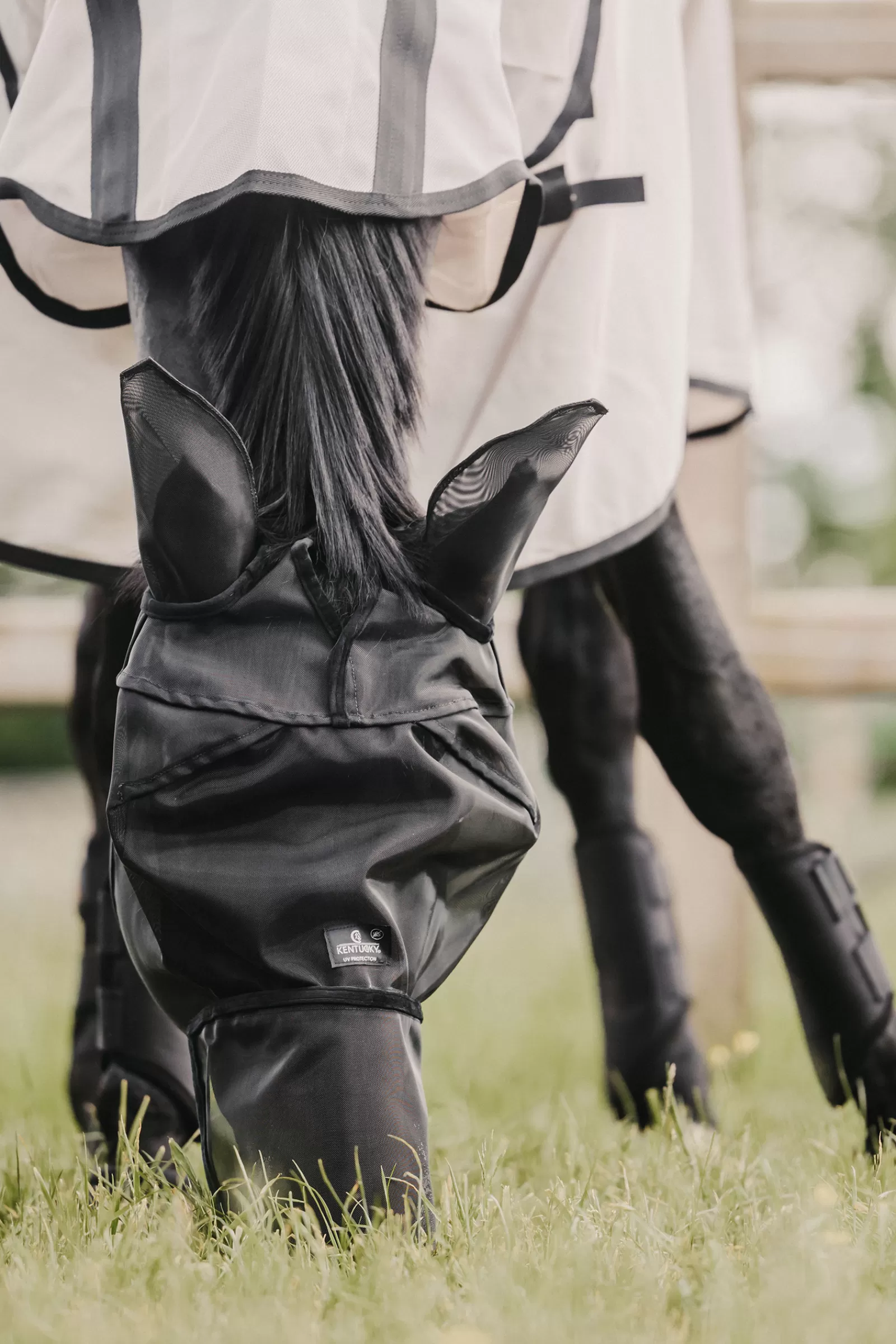Horsewear Classic Cappuccio Antimosche Con Protezione Per Orecchie E Naso>kentucky Shop