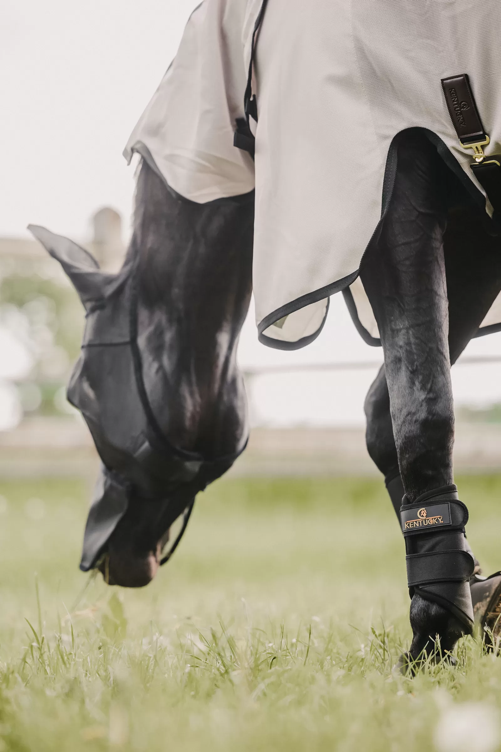 Horsewear Classic Cappuccio Antimosche Con Protezione Per Orecchie E Naso>kentucky Shop
