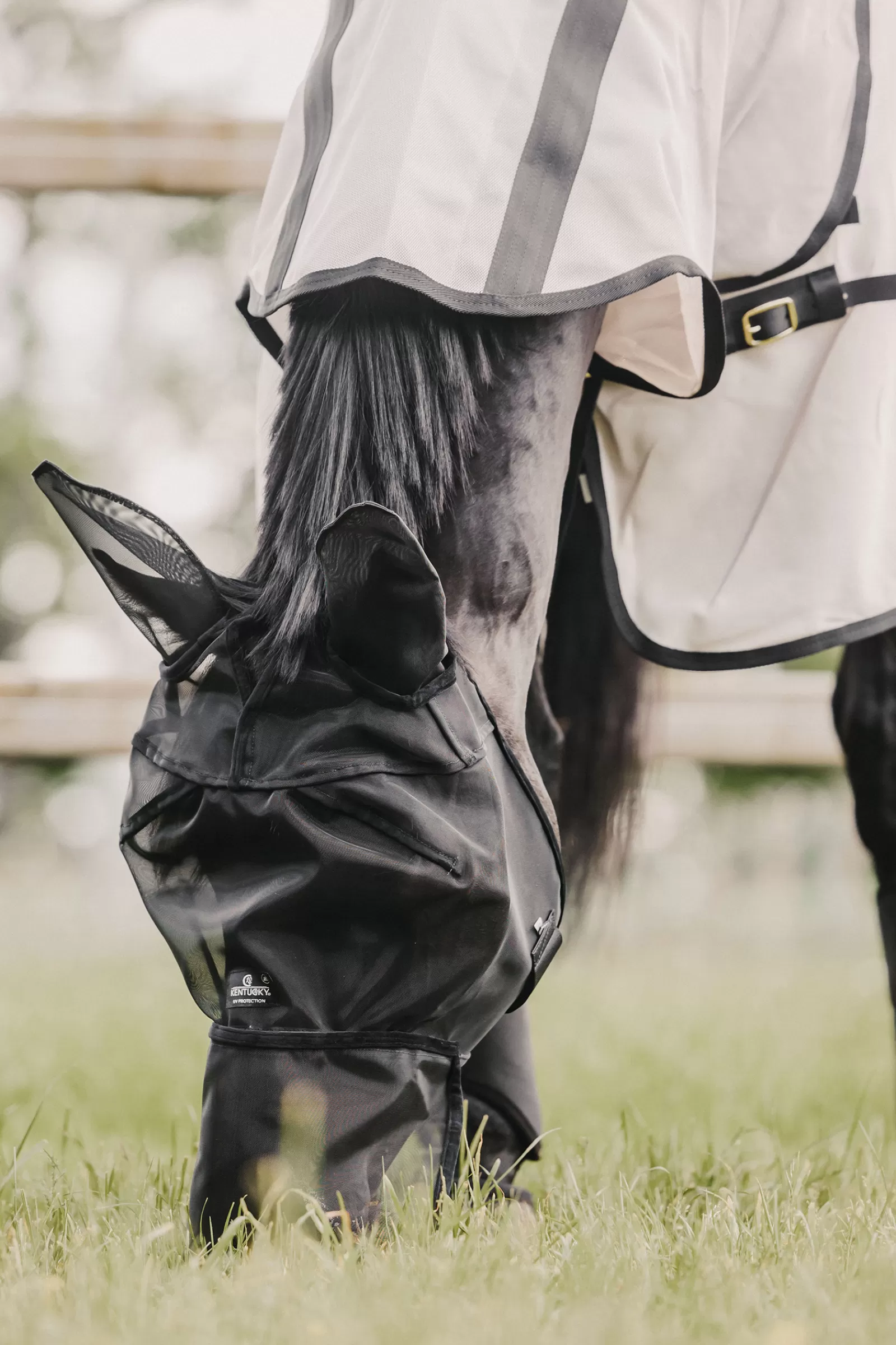 Horsewear Classic Cappuccio Antimosche Con Protezione Per Orecchie E Naso>kentucky Shop