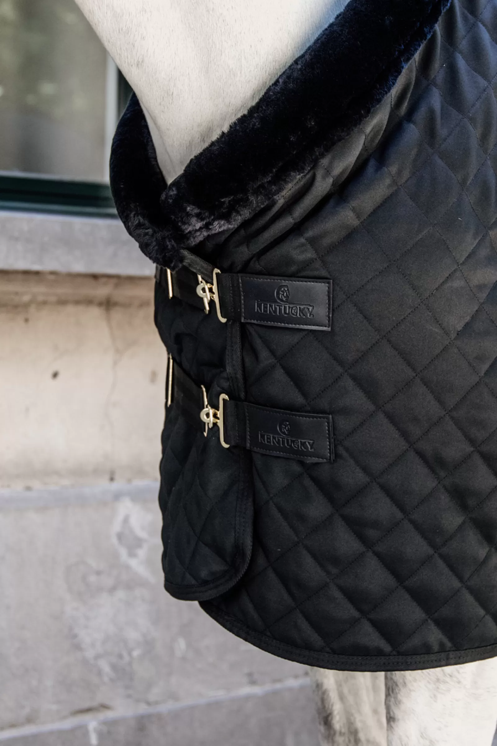 Horsewear Coperta Da Concorso, 160 Gr>kentucky Sale
