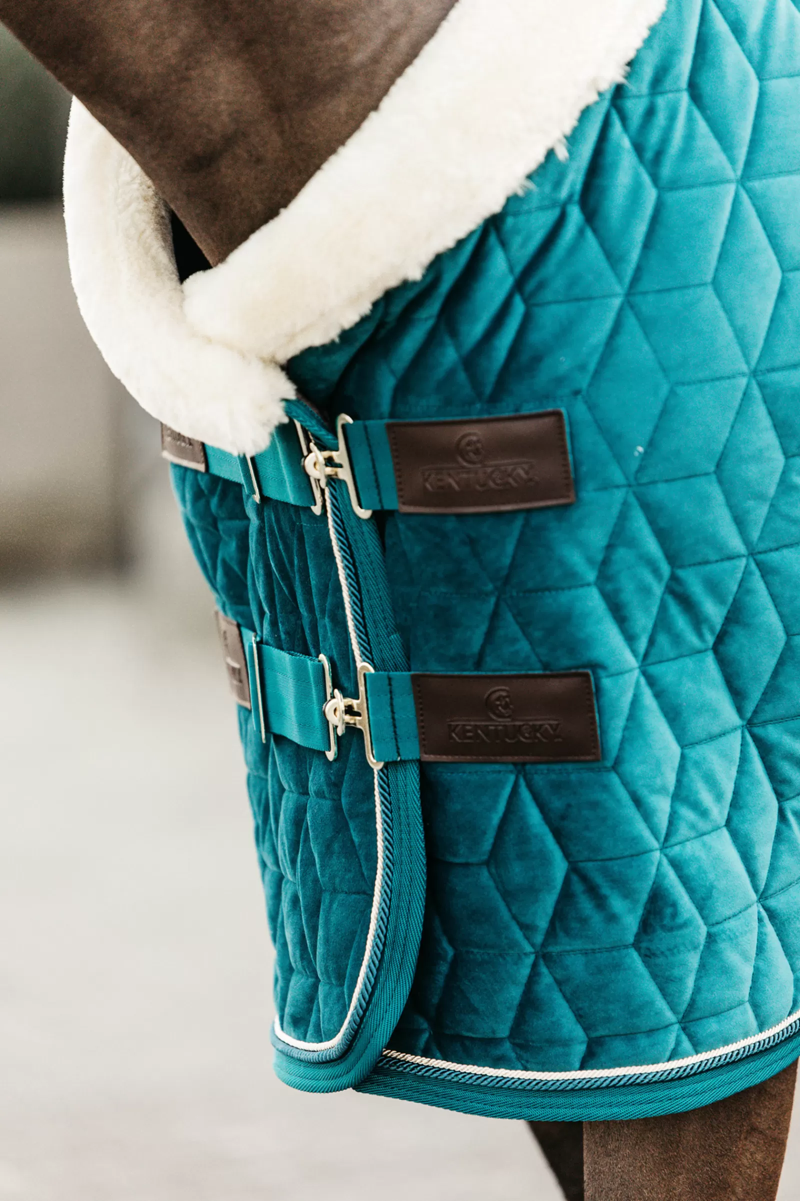 Horsewear Coperta Da Concorso Velvet Per Pony, 160 Gr>kentucky Cheap