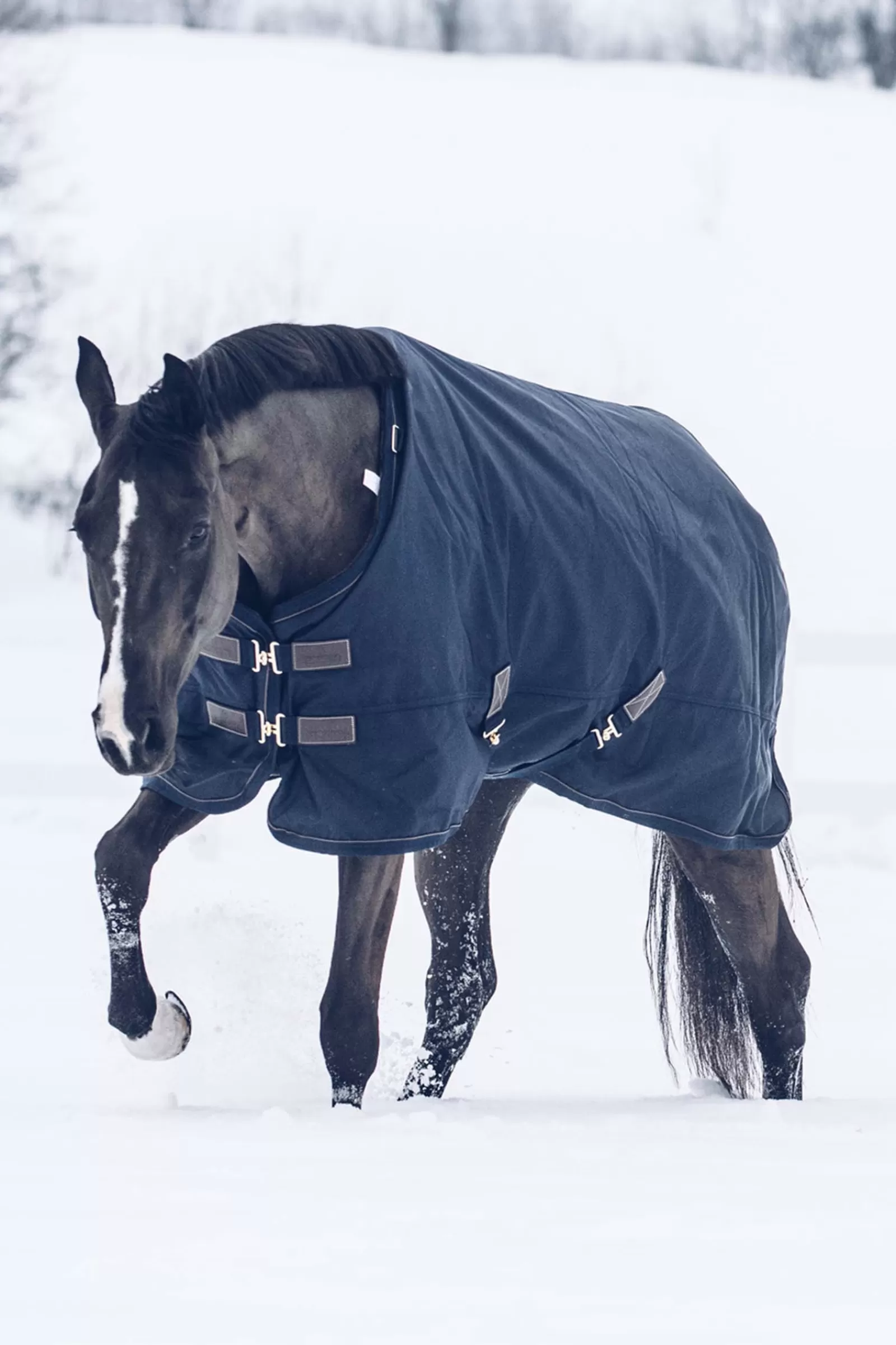 Horsewear Coperta Da Turnout All Weather Waterproof Classic, 300 Gr>kentucky New