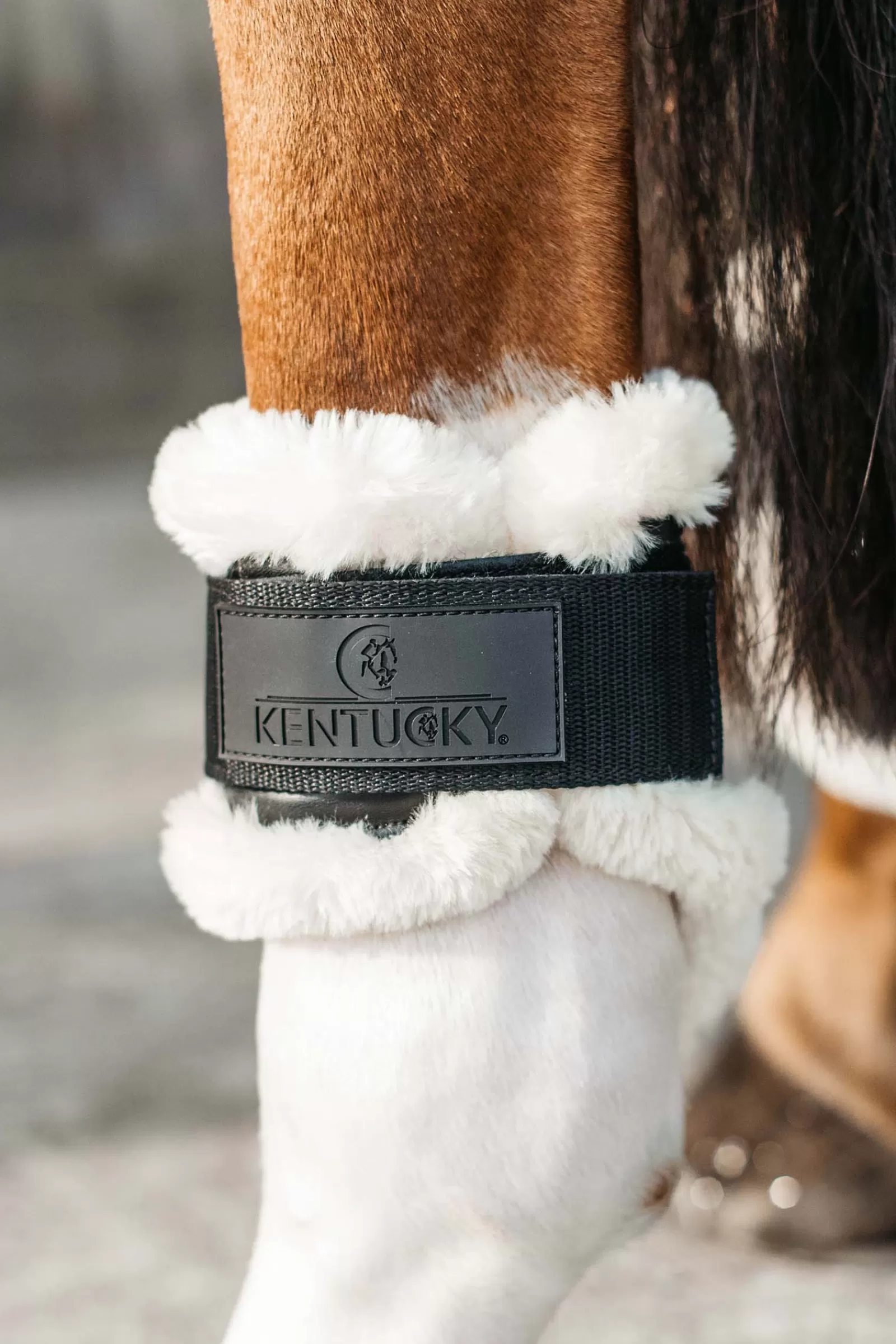kentucky Paranocche | Horsewear Stivali Paranocche In Pelle Vegana Per Cavalli Giovani Black