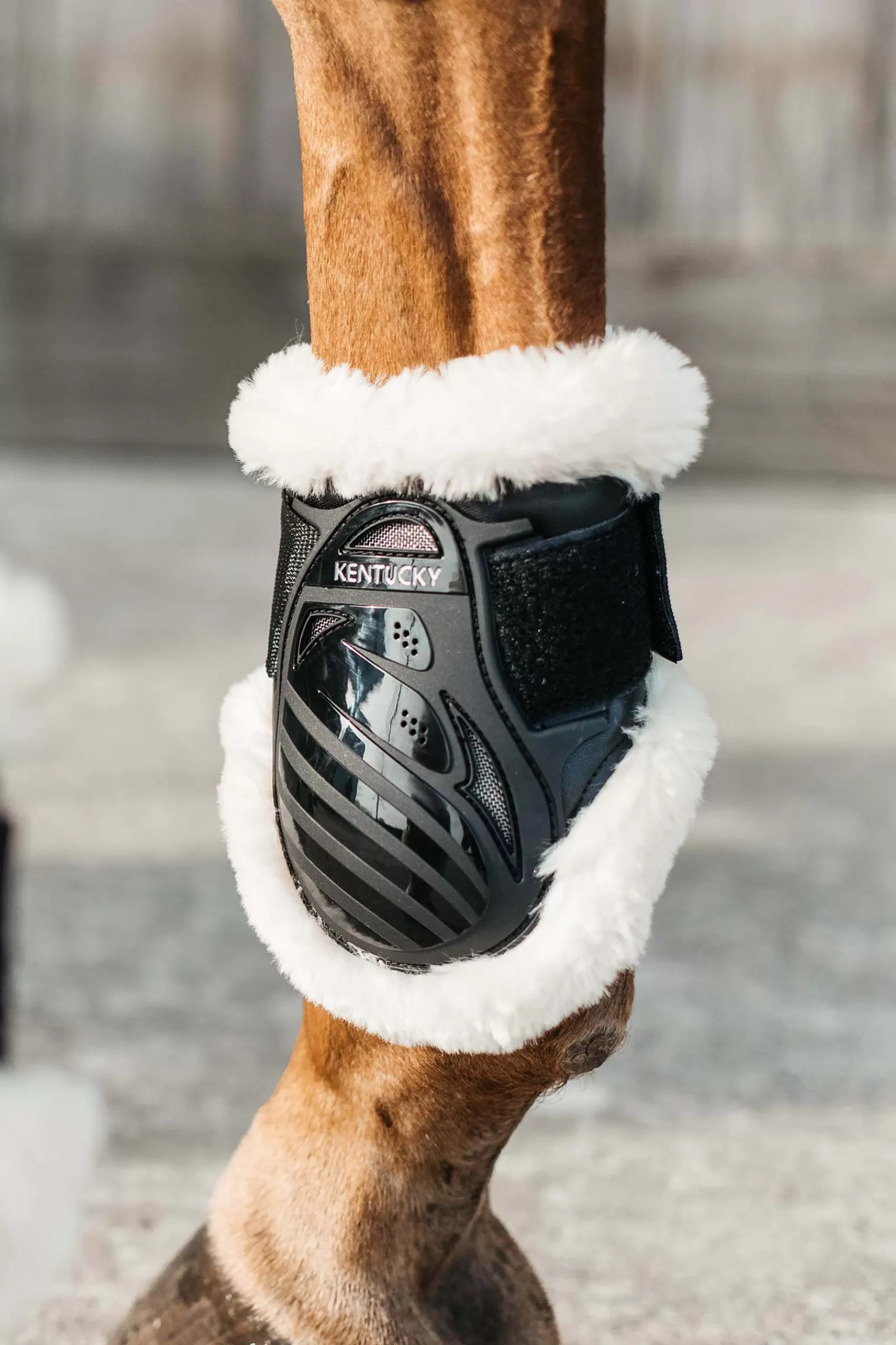 kentucky Paranocche | Horsewear Stivali Paranocche In Pelle Vegana Per Cavalli Giovani Black