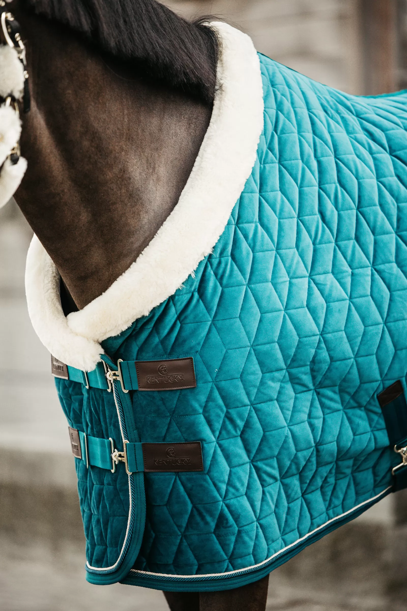 Horsewear Velvet Coperta Da Concorso Per Pony, 160 Gr>kentucky Discount