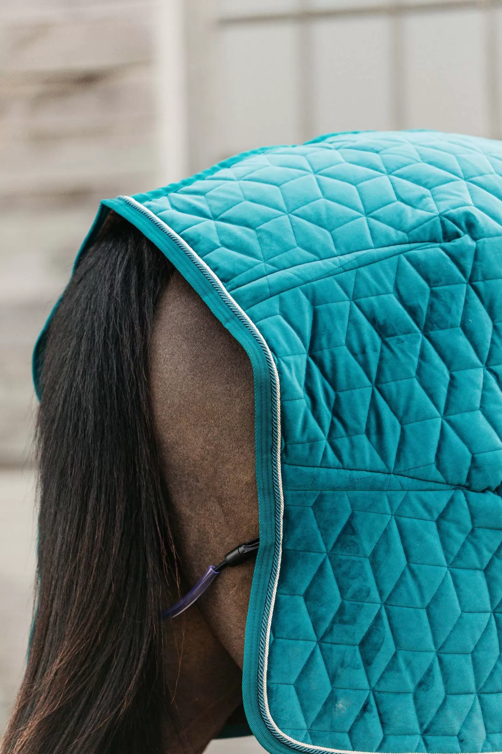 Horsewear Velvet Coperta Da Concorso Per Pony, 160 Gr>kentucky Discount