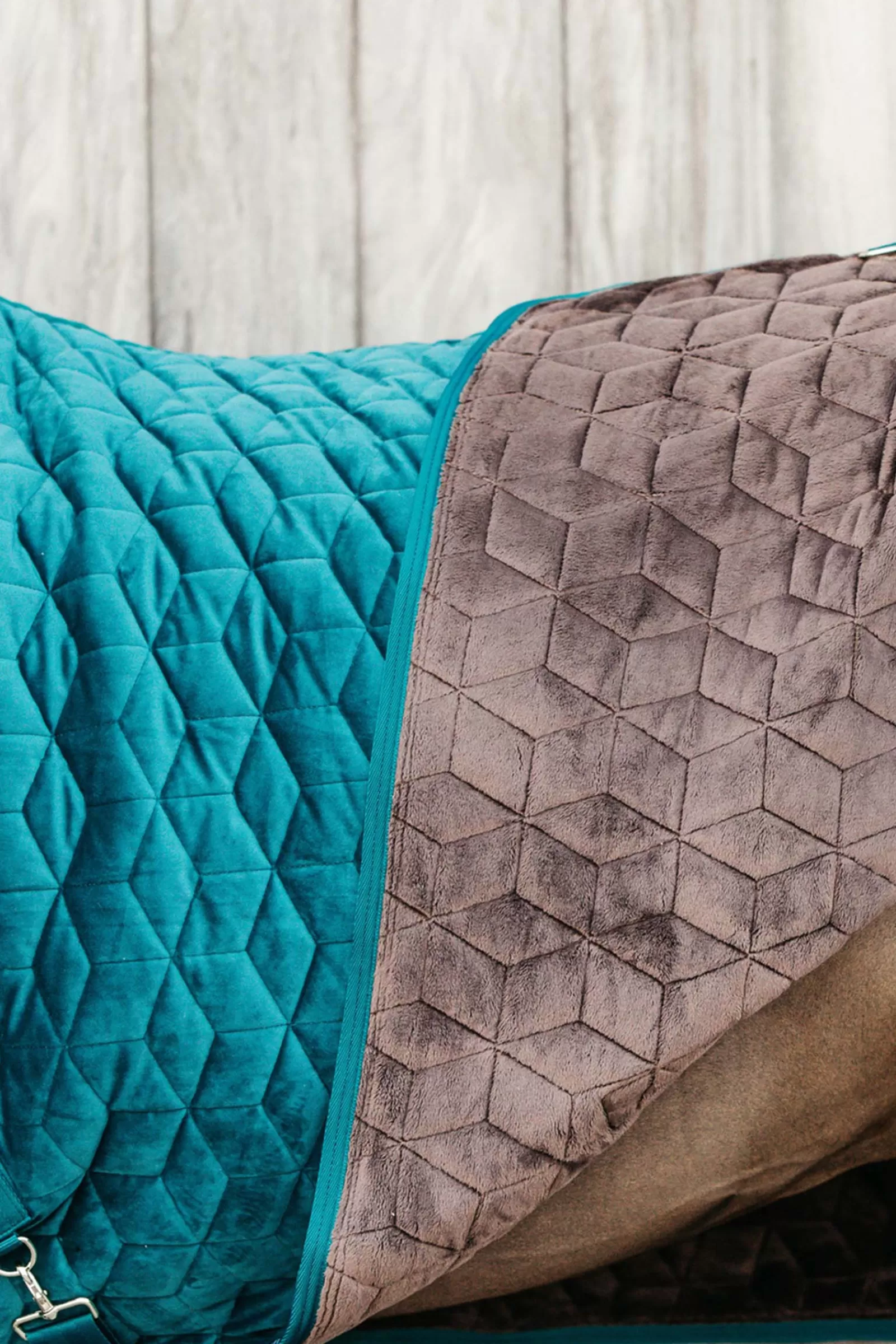 Horsewear Velvet Coperta Da Concorso Per Pony, 160 Gr>kentucky Discount