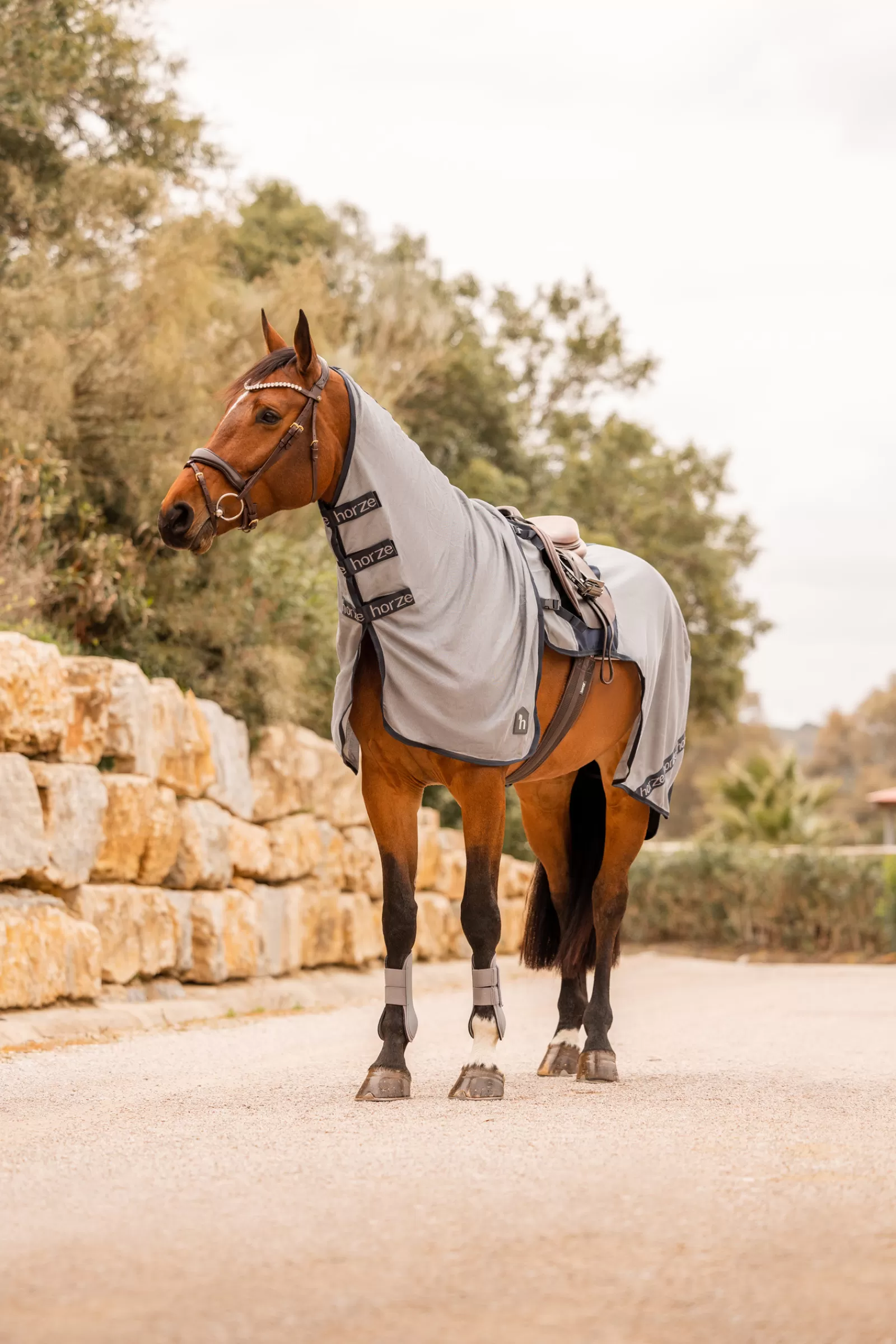 Paso Fino Coperta Antimosche Da Equitazione Con Collo Rimovibile E Protezione Uv>* Hot