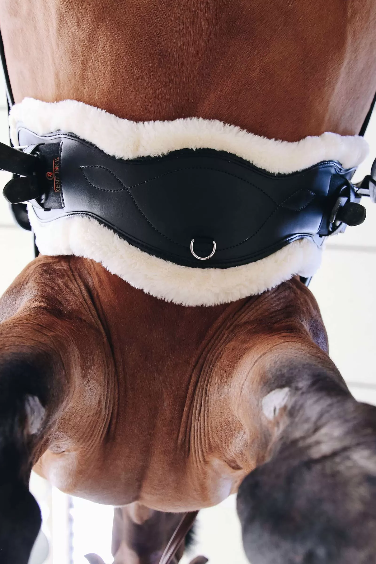 Sottopancia Corto Anatomico In Pelle Di Pecora Horsewear>kentucky Fashion