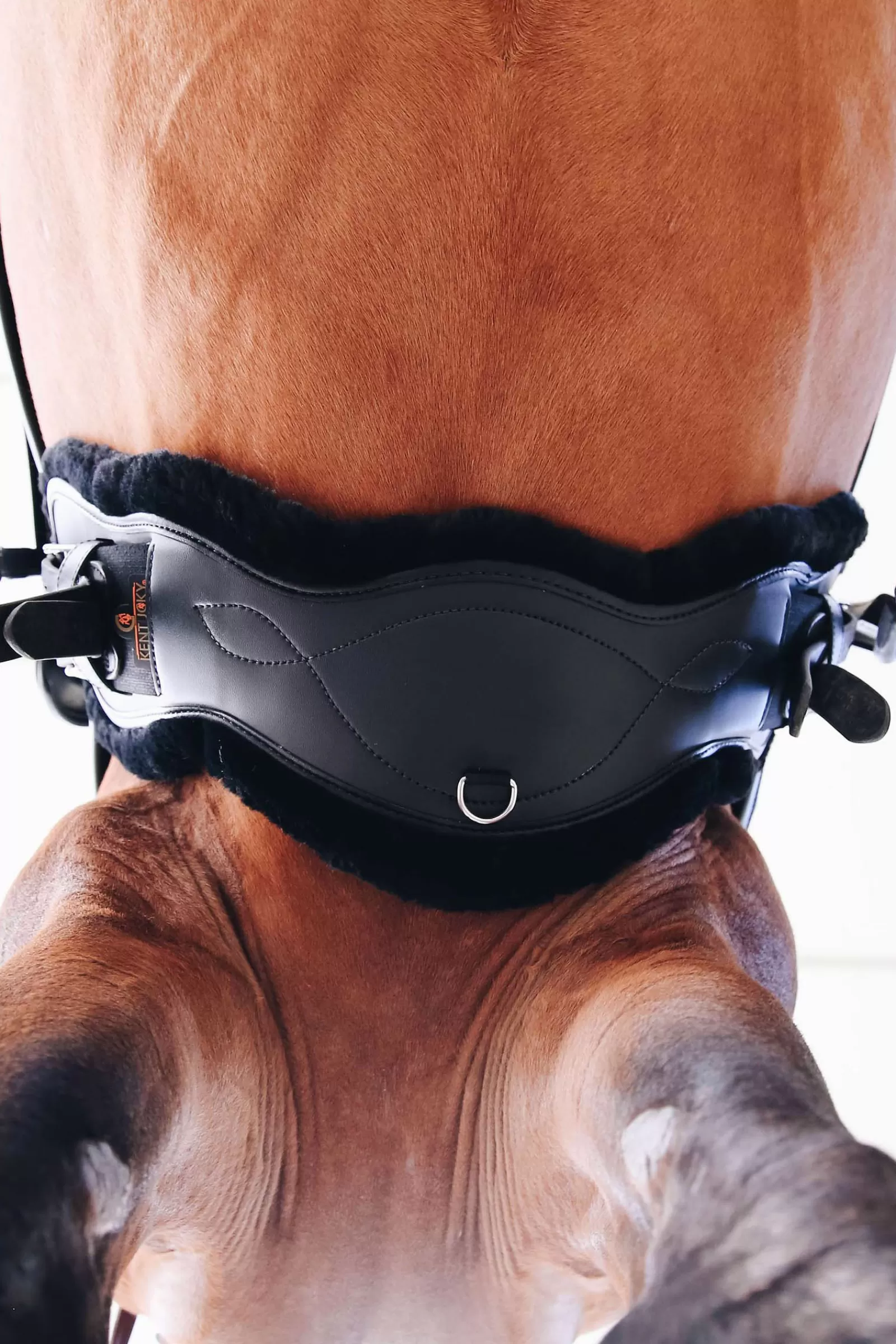 Sottopancia Corto Anatomico In Pelle Di Pecora Horsewear>kentucky Fashion