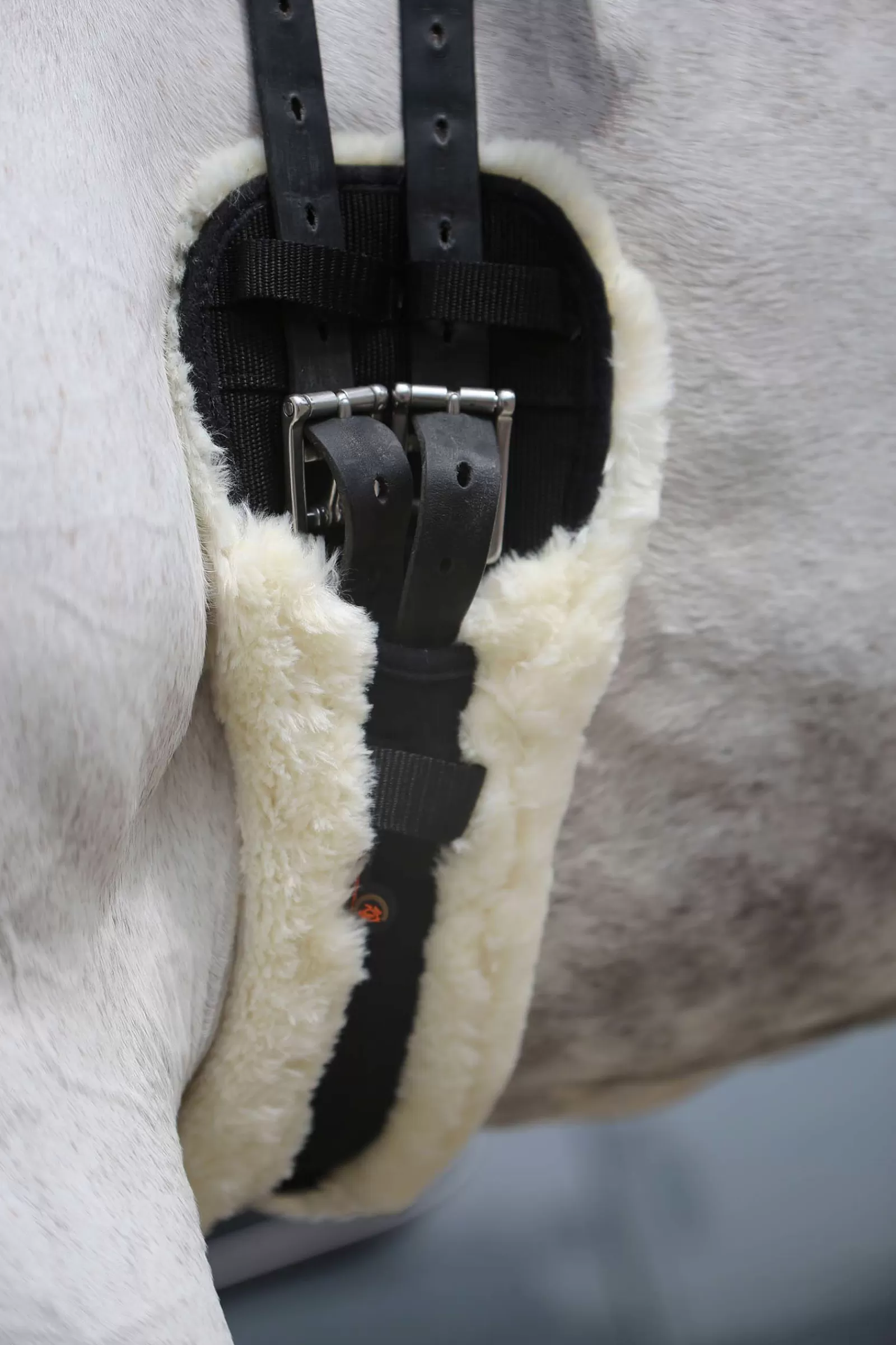 Sottopancia Corto In Pelle Di Pecora Horsewear>kentucky Discount