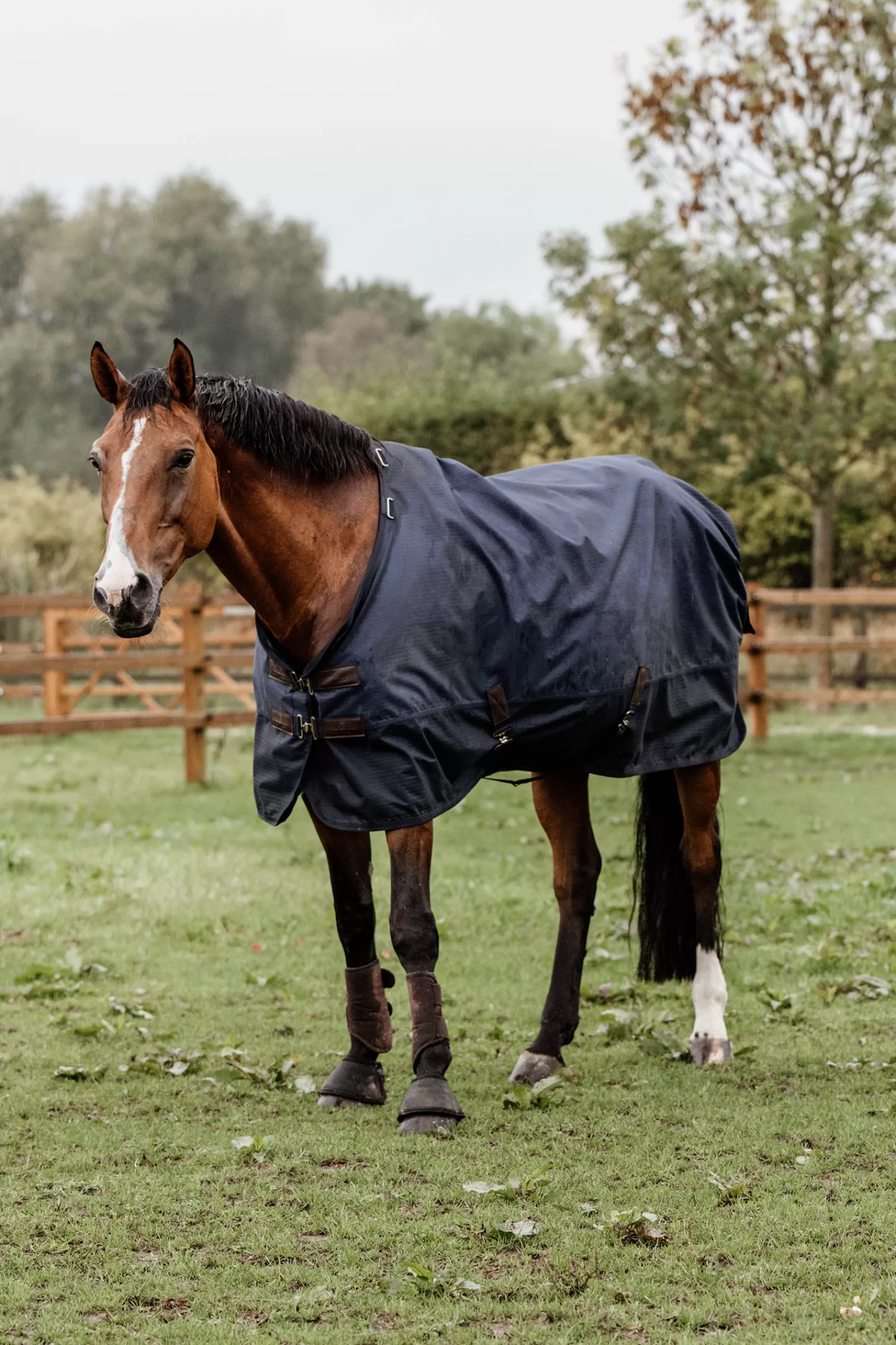 Tappeto Horsewear Turnout Per Tutte Le Stagioni, 300 G>kentucky Online