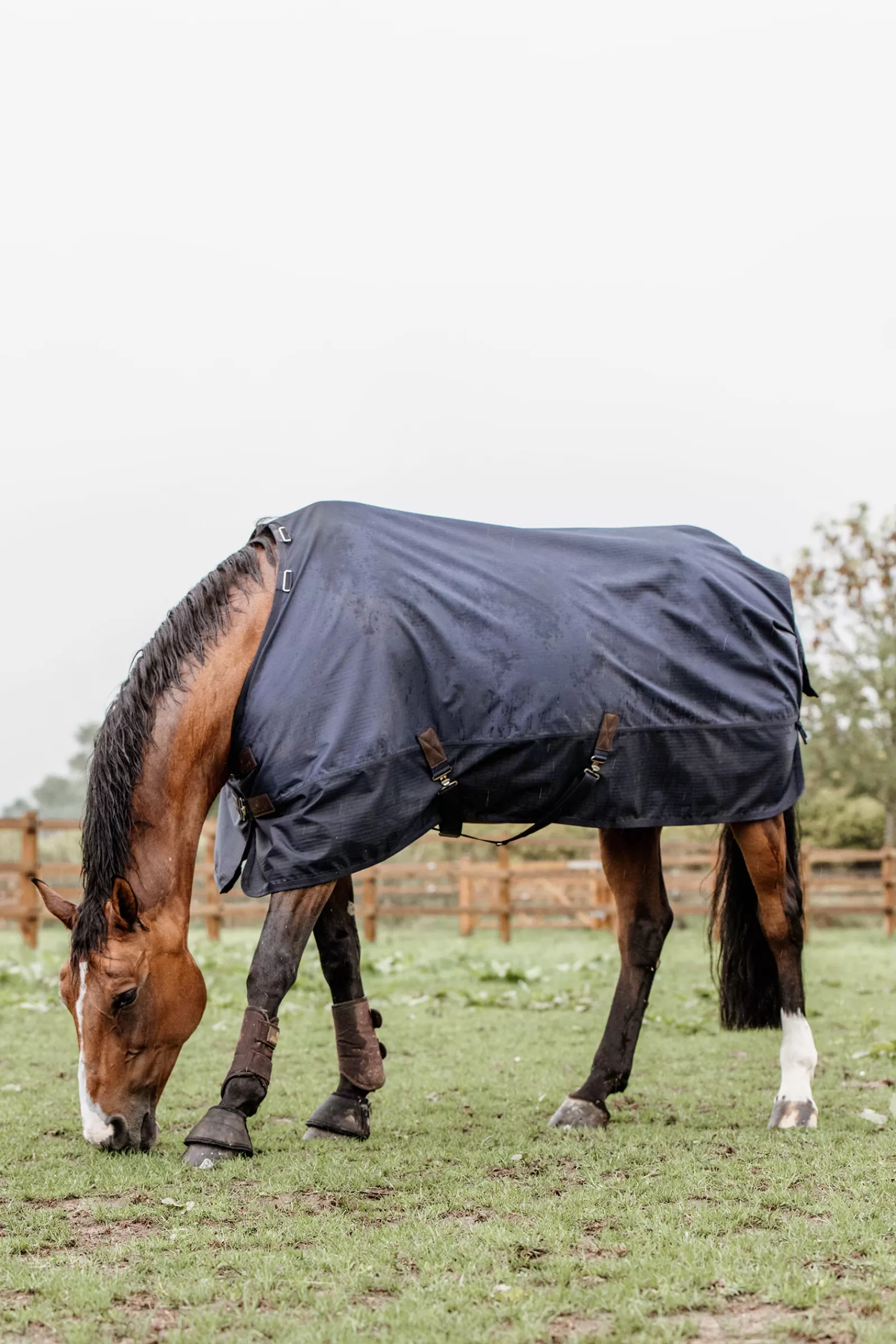 Tappeto Horsewear Turnout Per Tutte Le Stagioni, 300 G>kentucky Online