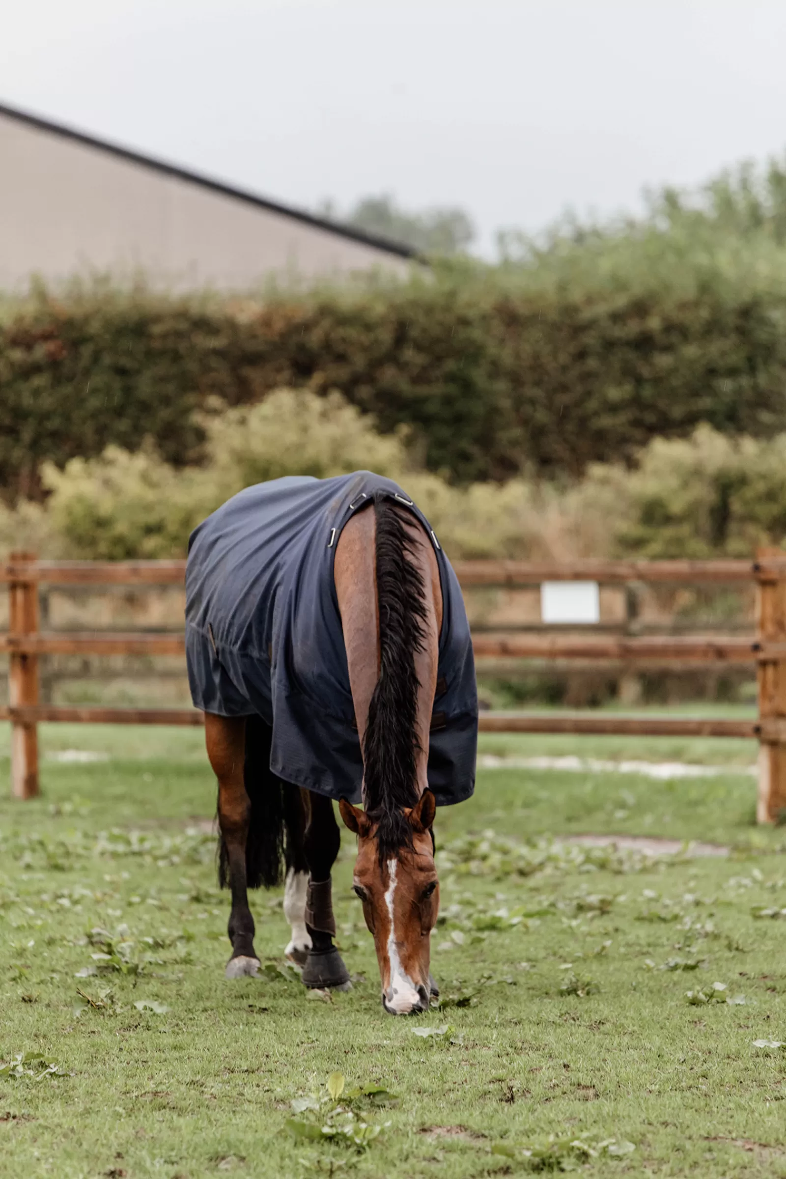 Tappeto Horsewear Turnout Per Tutte Le Stagioni, 300 G>kentucky Online