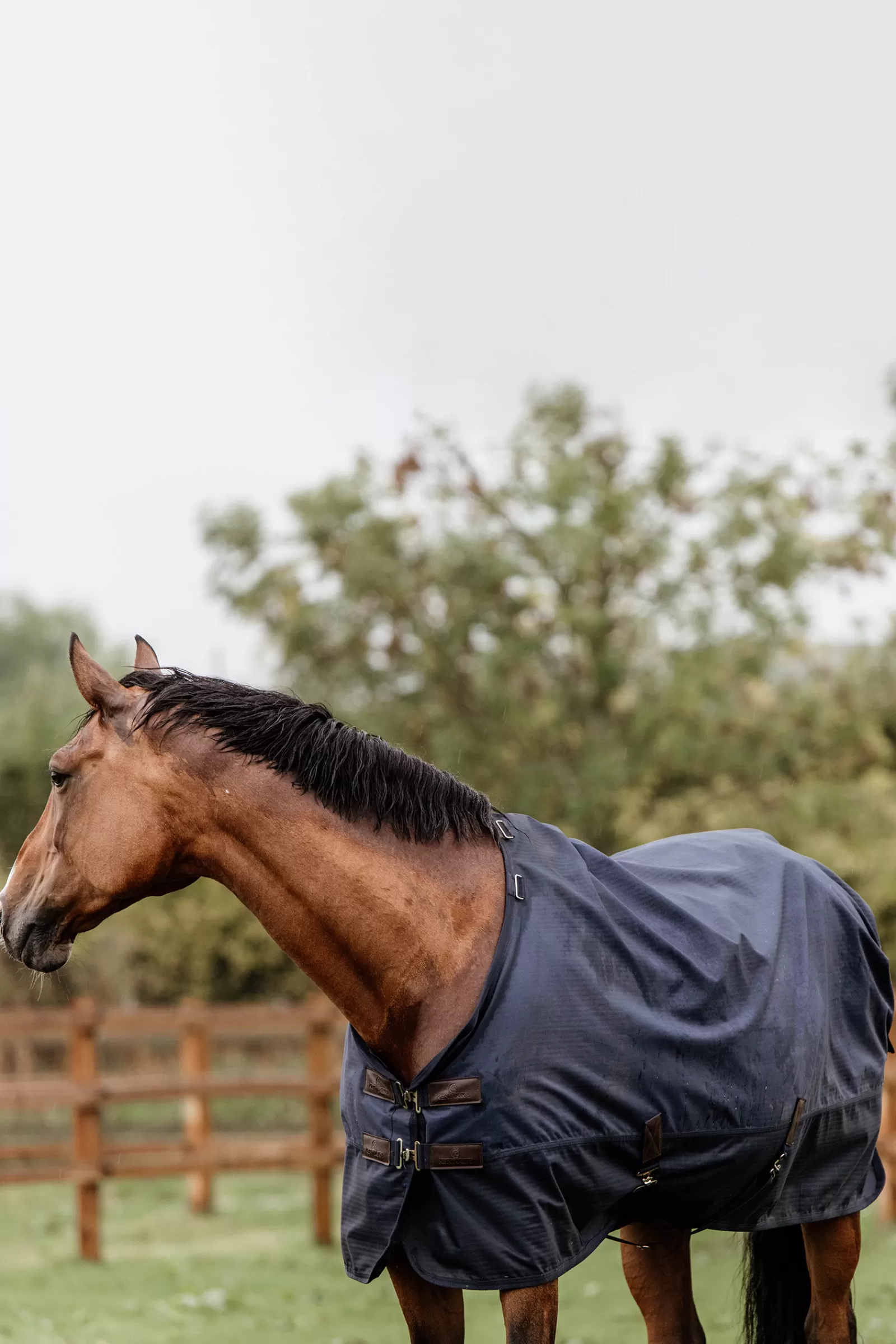 Tappeto Horsewear Turnout Per Tutte Le Stagioni, 300 G>kentucky Online